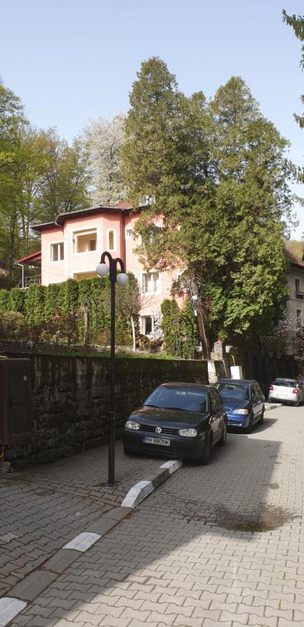 Rosa Villa Baile Olanesti Exterior photo